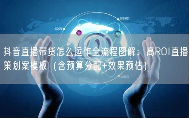 抖音直播带货怎么运作全流程图解：高ROI直播策划案模板（含预算分配+效果预估）